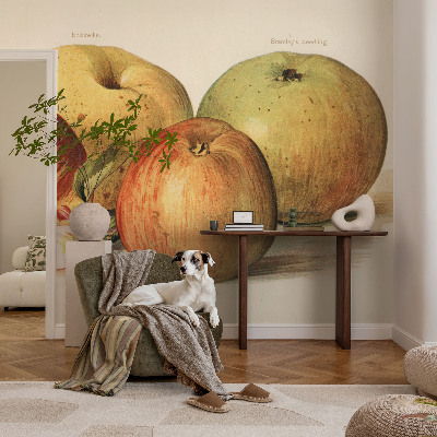 Baby room wall mural Apple blossoms