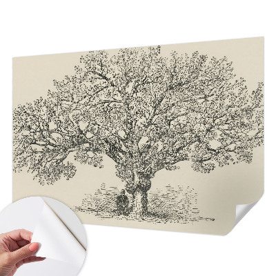 Peel and stick wallpaper mural with a tree illustration