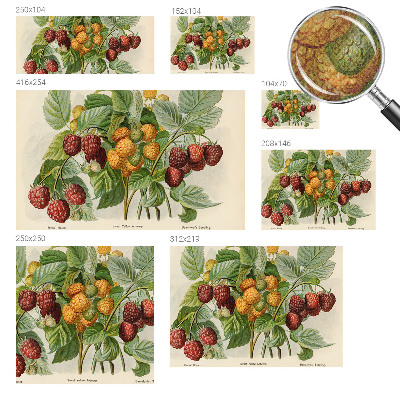 Peel and stick wall mural with a classic raspberry pattern