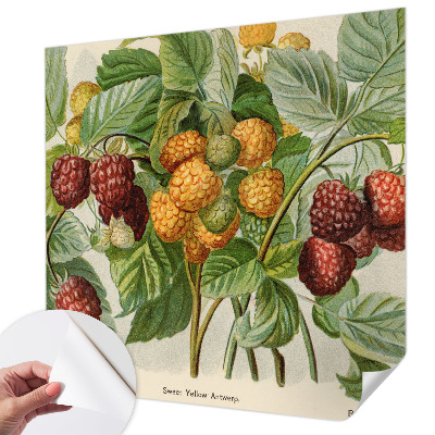 Peel and stick wall mural with a classic raspberry pattern