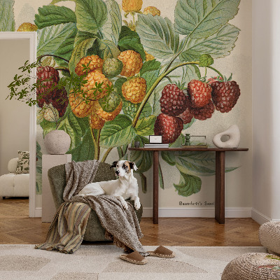 Peel and stick wall mural Classic raspberries