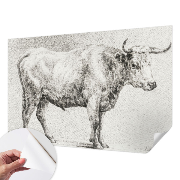 Self-adhesive wall mural with a bull pencil illustration
