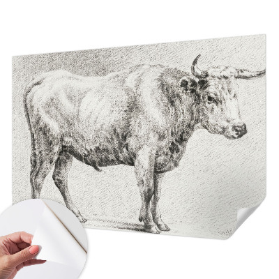Self-adhesive wall mural with a bull pencil illustration