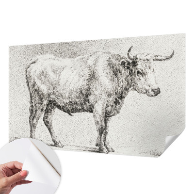 Self-adhesive wall mural with a bull pencil illustration