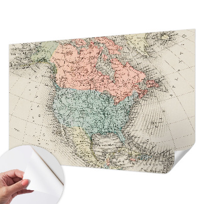Peel and stick wall mural for kids' room featuring a historical map design