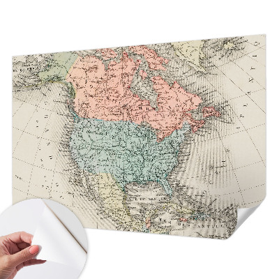 Peel and stick wall mural for kids' room featuring a historical map design