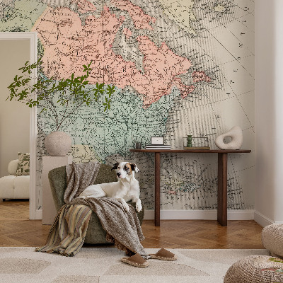 Peel and stick wall mural for kids' room featuring a historical map design