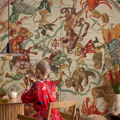 3D photo wallpaper mural Star compositions