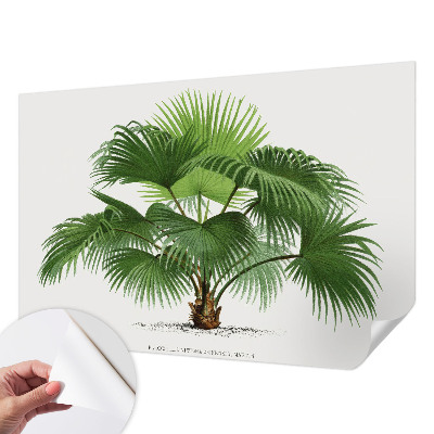 Nursery wall mural with an exotic palm tree design