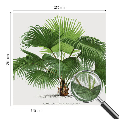 Nursery wall mural with an exotic palm tree design