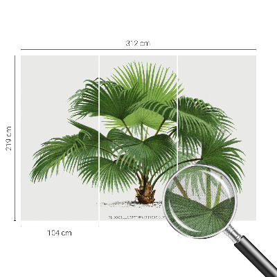 Nursery wall mural with an exotic palm tree design