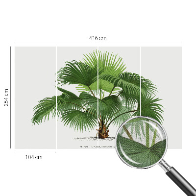 Nursery wall mural with an exotic palm tree design