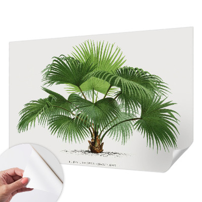 Nursery wall mural with an exotic palm tree design