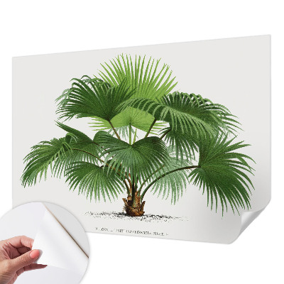 Nursery wall mural with an exotic palm tree design