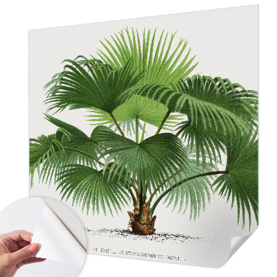 Nursery wall mural Exotic palm tree