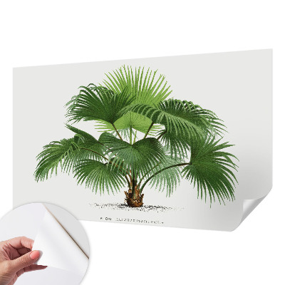 Nursery wall mural with an exotic palm tree design