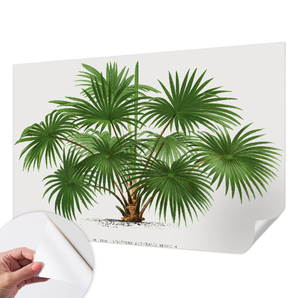 Children's wall mural with an exotic patterned design