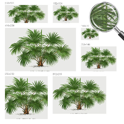 Children's wall mural Exotic pattern