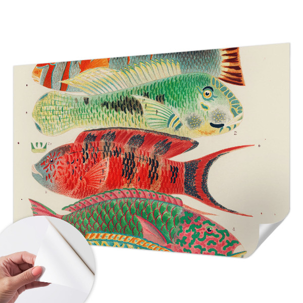 Peel and stick wall mural featuring an exotic fish design