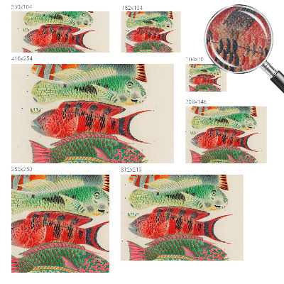 Peel and stick wall mural featuring an exotic fish design
