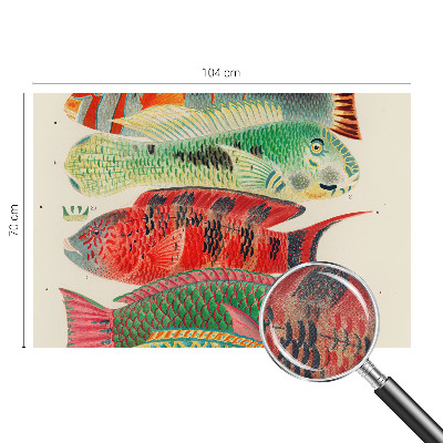 Peel and stick wall mural featuring an exotic fish design