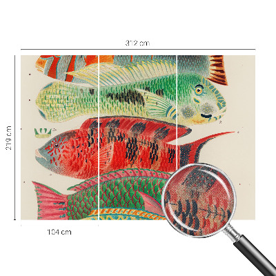 Peel and stick wall mural Exotic fish