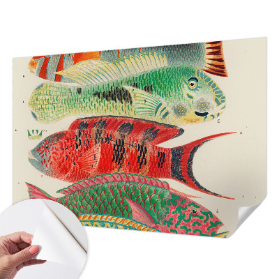Peel and stick wall mural featuring an exotic fish design