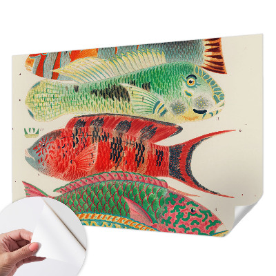 Peel and stick wall mural Exotic fish