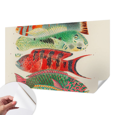 Peel and stick wall mural Exotic fish