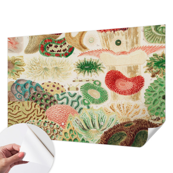 Peel and stick wallpaper mural with organic shapes