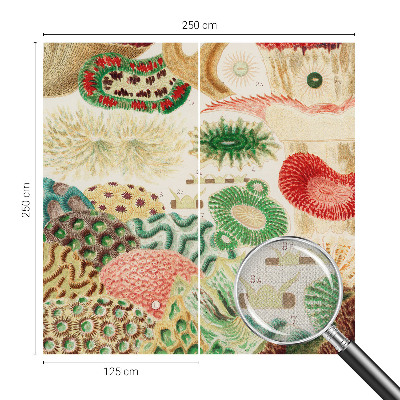 Peel and stick wallpaper mural Organic shapes