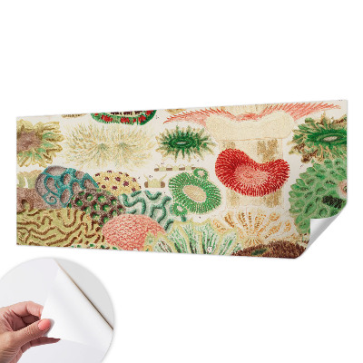 Peel and stick wallpaper mural with organic shapes