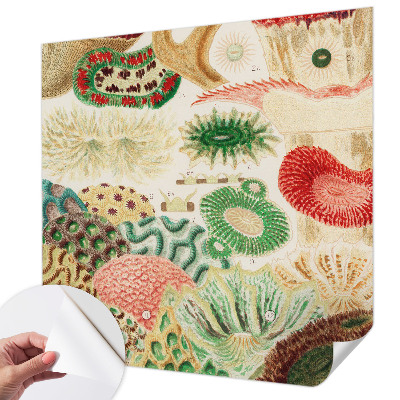 Peel and stick wallpaper mural Organic shapes