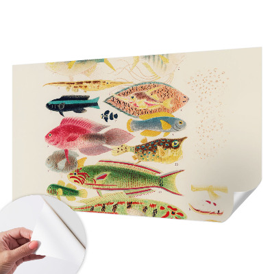 Self-adhesive wall mural with a colorful fish design