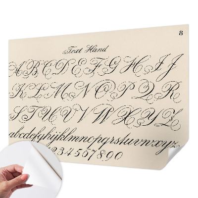 Peel and stick wall mural for living room with a calligraphic writing design