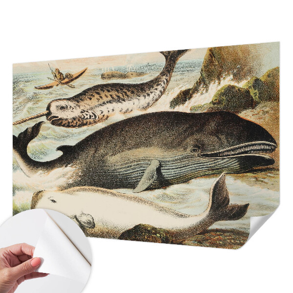 Peel and stick wallpaper mural with a sea giants design