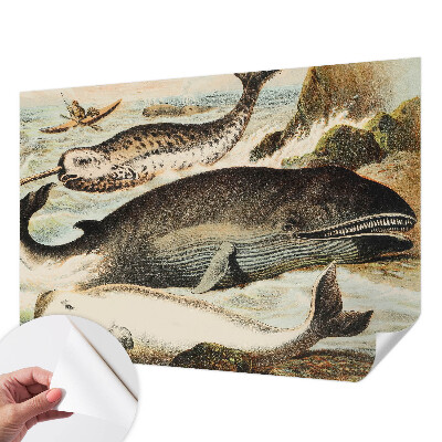 Peel and stick wallpaper mural with a sea giants design