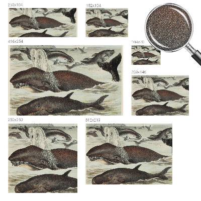 Self-adhesive wall mural Sea creatures