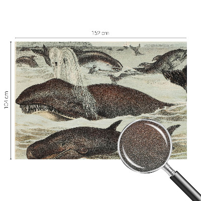 Self-adhesive wall mural with sea creatures design