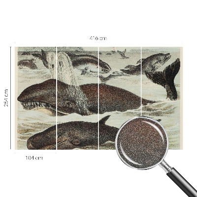 Self-adhesive wall mural with sea creatures design