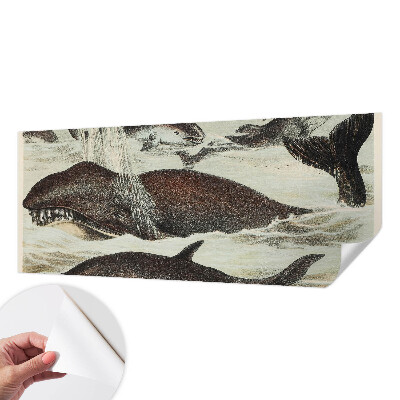 Self-adhesive wall mural with sea creatures design