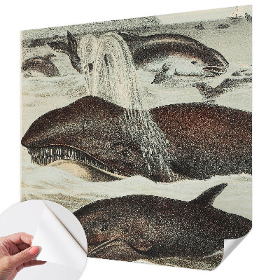 Self-adhesive wall mural with sea creatures design