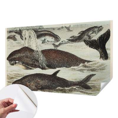 Self-adhesive wall mural with sea creatures design
