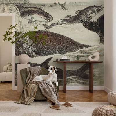 Self-adhesive wall mural Sea creatures