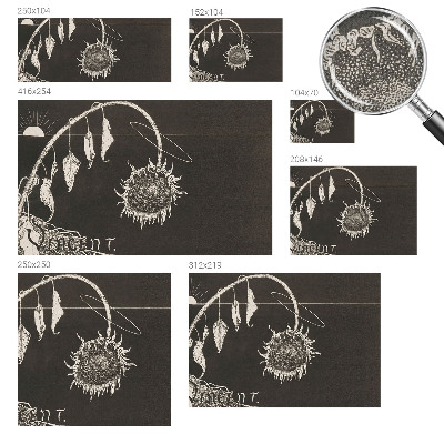 Removable wall mural Nostalgic sunflower