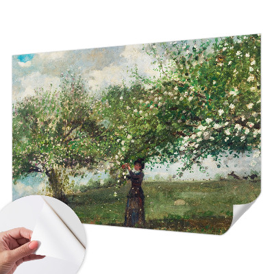 3D photo wallpaper mural with a spring scene