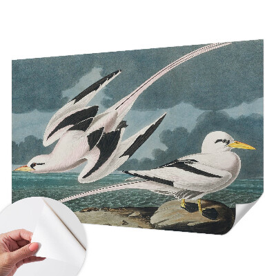 Removable wall mural wallpaper featuring a birds by the sea motif
