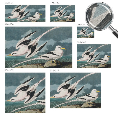 Removable wall mural wallpaper featuring a birds by the sea motif