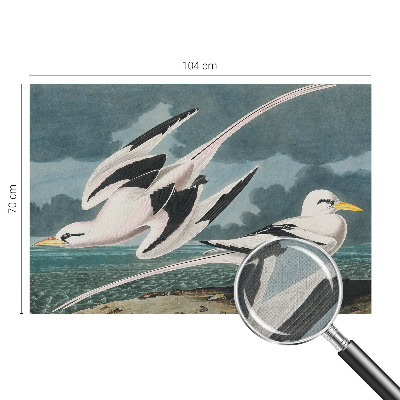 Removable wall mural wallpaper Birds by the sea