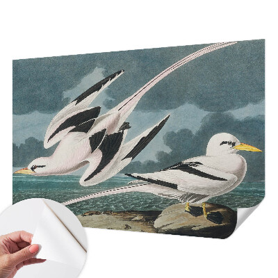 Removable wall mural wallpaper featuring a birds by the sea motif